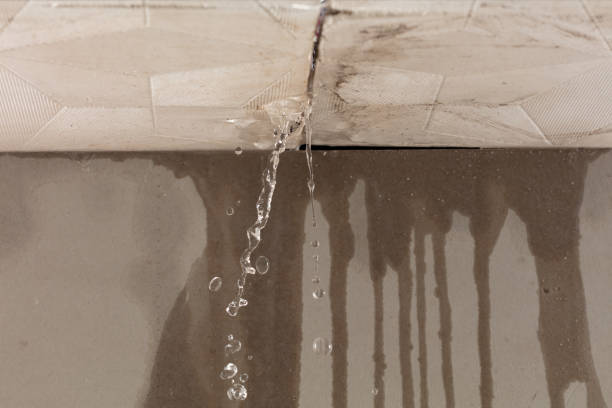 Professional Water Damage Repair technician working in Winfield, IL